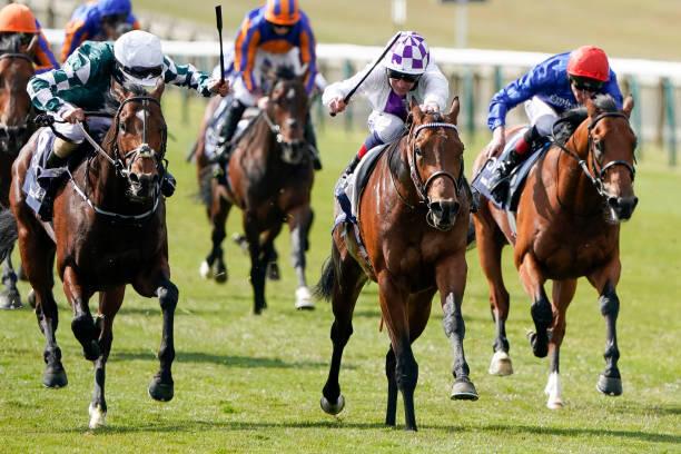 Champions Day Tips: Seas at 10-1 can overcome Palace Pier in QEII